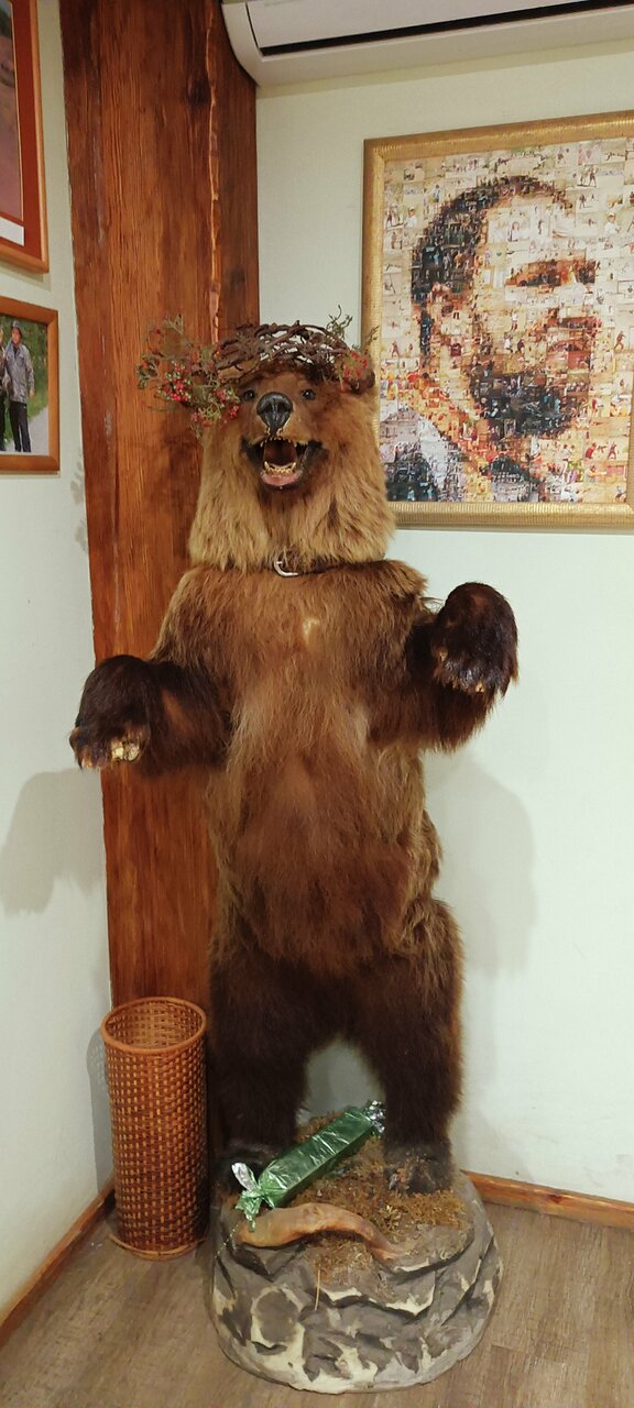 Гостиница Ловчий плюс Тольятти-133