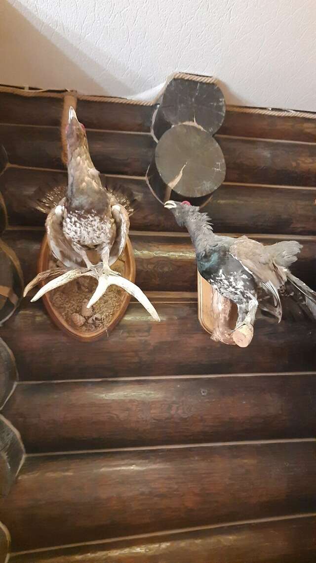 Гостиница Ловчий плюс Тольятти-77